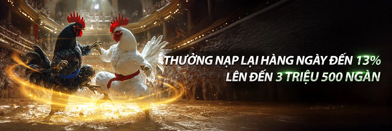 Đá Gà b888bet – Sân Chơi Cá Cược Trực Tuyến Uy Tín